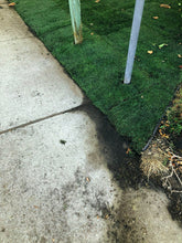 Load image into Gallery viewer, fescue mixed lawn