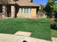 Load image into Gallery viewer, tall fescue sod and seed