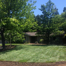 Load image into Gallery viewer, fescue sod near me