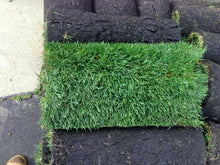 Load image into Gallery viewer, Fescue sod Tall 9010