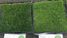Load image into Gallery viewer, fescue sod vs bentgrass sod