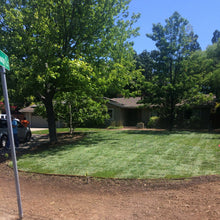 Load image into Gallery viewer, fescue sod sale