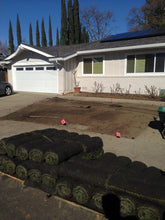 Load image into Gallery viewer, fresh sod elite plus