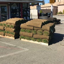 Load image into Gallery viewer, Greenfields sod grass