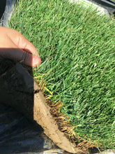 Load image into Gallery viewer, Greensfield Turf Enduro