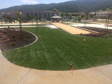 Load image into Gallery viewer, enduro grass lawn