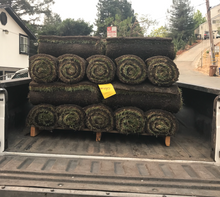 Load image into Gallery viewer, Delta Tall 9010 Sod a Hybrid Tall Fescue with Kentucky Bluegrass - Native Lawn Delivery