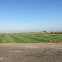 Load image into Gallery viewer, Tifway 419 Bermuda Grass - Native Lawn Delivery