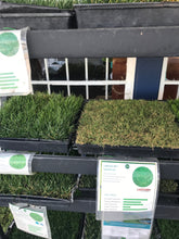 Load image into Gallery viewer, Latitude 36 Bermuda - Bay Area Sod and Seed