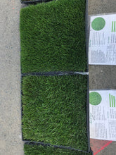 Load image into Gallery viewer, Delta Blue Rye - Bay Area Sod and Seed