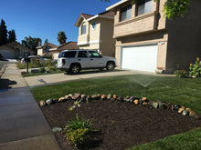 Load image into Gallery viewer, planting fescue