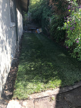 Load image into Gallery viewer, shaded seed