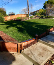 Load image into Gallery viewer, turf type fescue