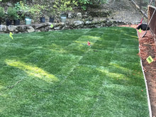 Load image into Gallery viewer, Delta Rye Blue grass - Bay Area Sod and Seed