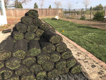 Load image into Gallery viewer, kentucky bluegrass seed bulk