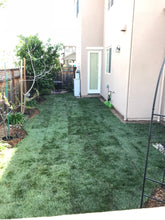 Load image into Gallery viewer, kentucky bluegrass grass seed