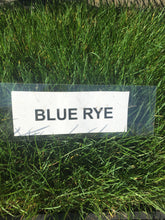 Load image into Gallery viewer, Delta Blue Rye - Bay Area Sod and Seed