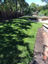 Load image into Gallery viewer, Bolero Plus dwarf fescue with bluegrass lawn