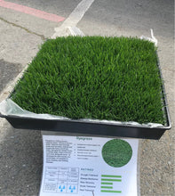 Load image into Gallery viewer, Ryegrass Seed
