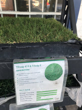 Load image into Gallery viewer, Tifway 419 - Bay Area Sod and Seed