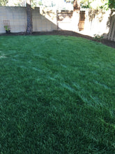 Load image into Gallery viewer, shade blend zoysia grass for shade