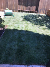 Load image into Gallery viewer, sun and shade grass seed