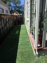 Load image into Gallery viewer, Delta Blue Rye 50 50 Grass Bluegrass Ryegrass Sod - Native Lawn Delivery