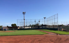 Load image into Gallery viewer, blue ridge grass