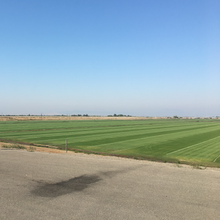 Load image into Gallery viewer, Latitude 36 Bermuda Grass - Native Lawn Delivery