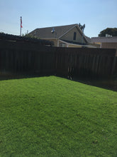 Load image into Gallery viewer, Delta Blue Rye 50 50 Grass Bluegrass Ryegrass Sod - Native Lawn Delivery