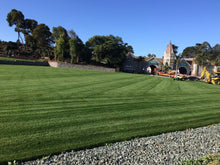 Load image into Gallery viewer, enduro fescue grass