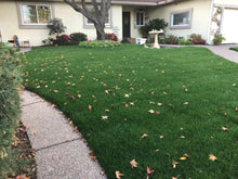 Load image into Gallery viewer, Delta Blue Rye - Bay Area Sod and Seed