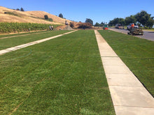 Load image into Gallery viewer, enduro grass