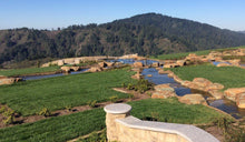 Load image into Gallery viewer, enduro grass