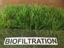 Load image into Gallery viewer, Native alternative Biofiltration Sod - Bay Area Sod and Seed