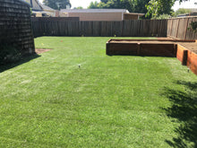 Load image into Gallery viewer, Delta Blue Rye 50 50 Grass Bluegrass Ryegrass Sod - Native Lawn Delivery