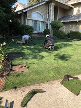Load image into Gallery viewer, Rye Bluegrass lawn