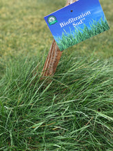 Load image into Gallery viewer, California Native Biofiltration Grass - Native Lawn Delivery