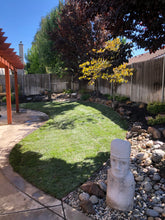 Load image into Gallery viewer, full shade grass seed