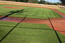 Load image into Gallery viewer, Non-Netted Blueridge Sports Turf - Native Lawn Delivery