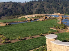 Load image into Gallery viewer, enduro sod