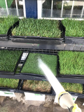Load image into Gallery viewer, Tifway 419 - Bay Area Sod and Seed