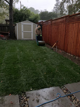 Load image into Gallery viewer, Shade Blend red fescue seed