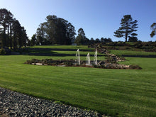 Load image into Gallery viewer, Enduro grass sod