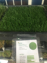 Load image into Gallery viewer, ryegrass mix