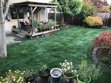 Load image into Gallery viewer, Shade Blend creeping red fescue grass seed