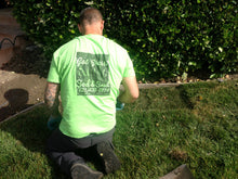 Load image into Gallery viewer, Delta Rye Blue grass - Bay Area Sod and Seed