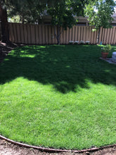 Load image into Gallery viewer, Delta Blue Rye - Bay Area Sod and Seed