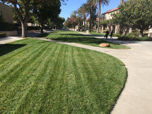 Load image into Gallery viewer, enduro grass lawn