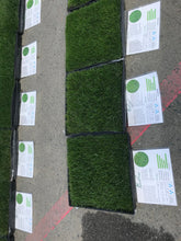 Load image into Gallery viewer, Delta Blue Rye - Bay Area Sod and Seed